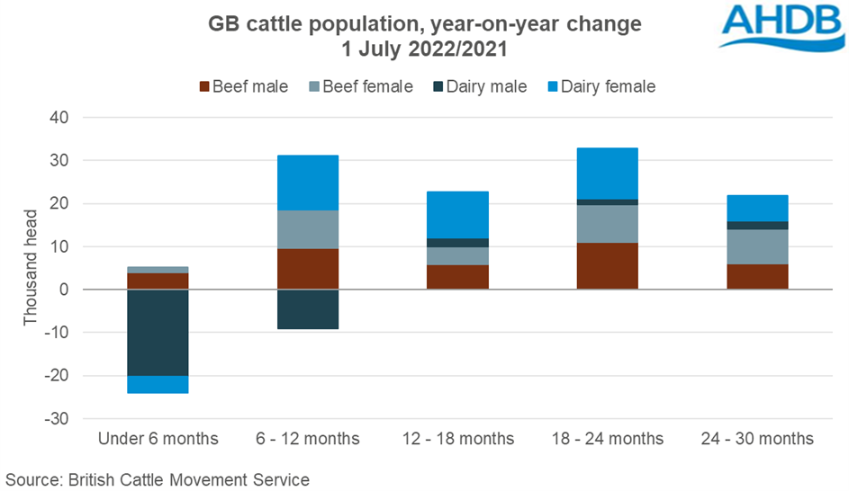 Graph showing year-on-year change in GB cattle pop by age group and type up to 30 months